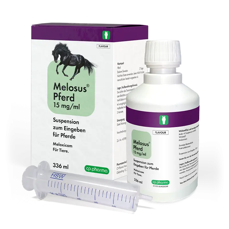 Buy Melosus horse